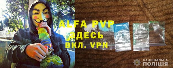 эйфоретик Беломорск