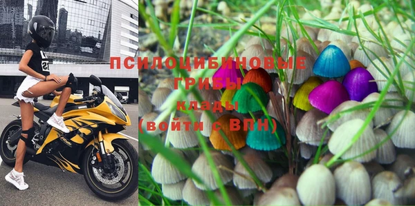 прущая мука Белокуриха