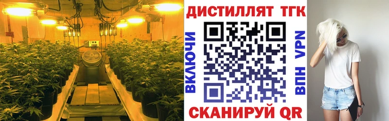 ТГК гашишное масло  где можно купить наркотик  Карпинск 